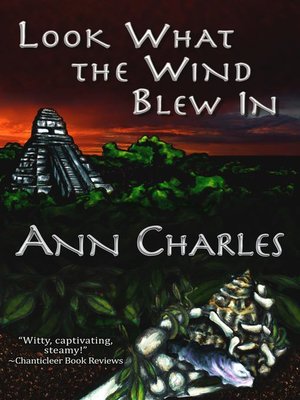 cover image of Look What the Wind Blew In ( a Dig Site Mystery--Book 1)